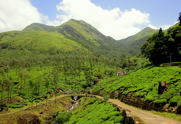 Wayanad Natural