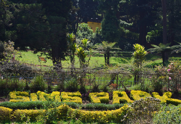 Sim's Park