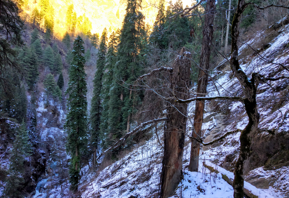 Kheerganga Trek