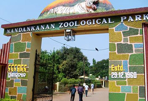 Nandankanan Zoo