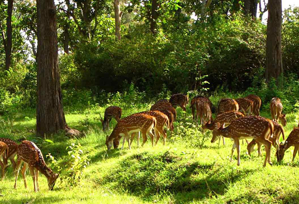 Ballavpur Wildlife Sanctuary