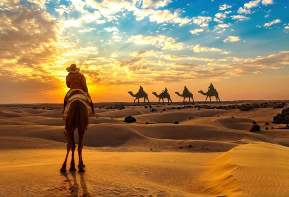 Camel safari  Jaisalmer