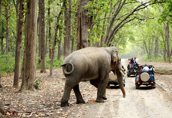 Jim Corbett, Uttrakhand