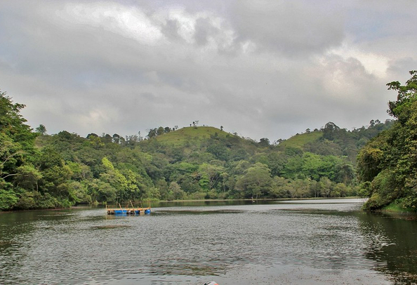 Pookode Lake