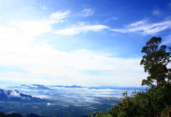 Coakers walk kodaikanal