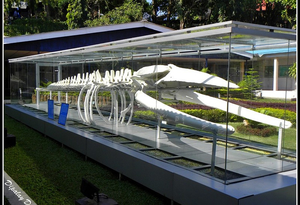 Samudrika museum Andaman
