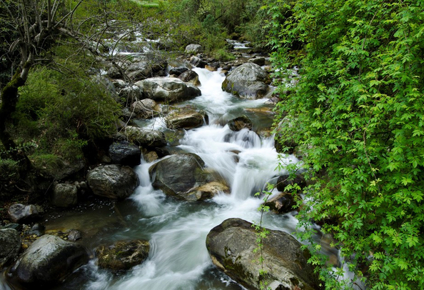 Jibhi River side