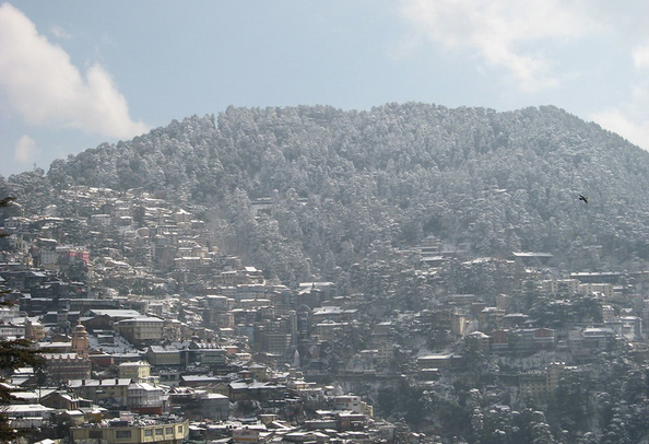 Shimla