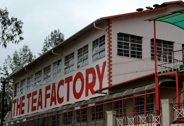 Tea Factory, Ooty