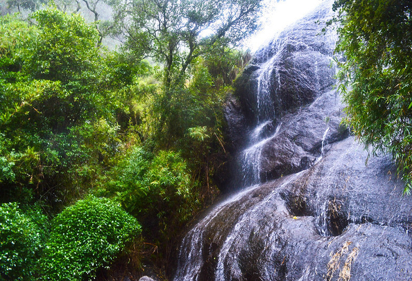 Bear shola falls