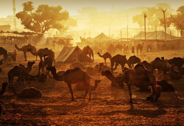 Sunrise in Pushkar