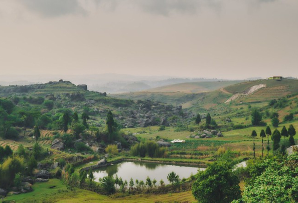 Liatlumb