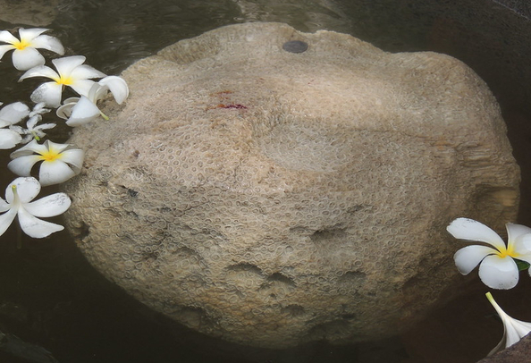 Rameshwaram Floating Stone