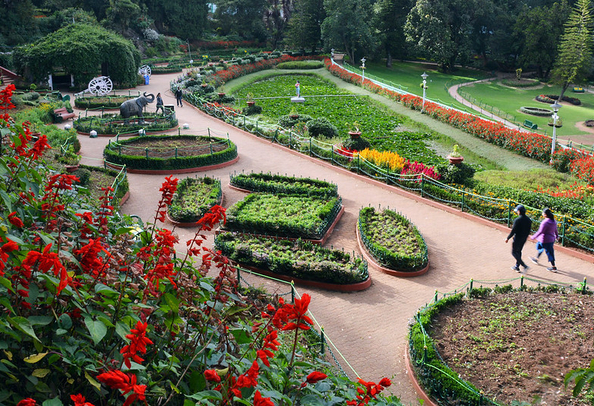 Botanical garden ooty