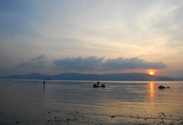 Chidiya tapu andaman