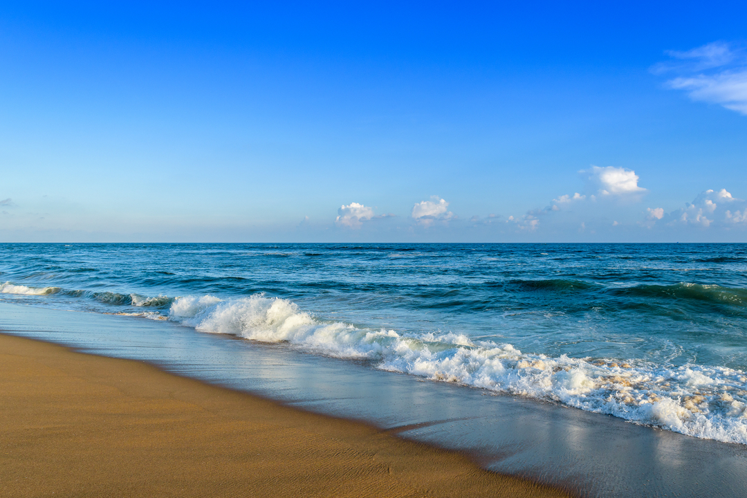 Odisha Special Tour