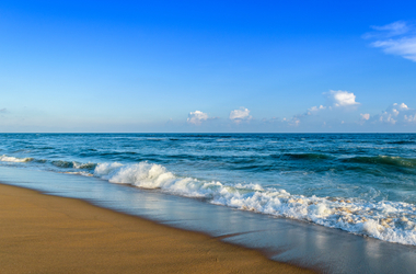 Odisha Special Tour