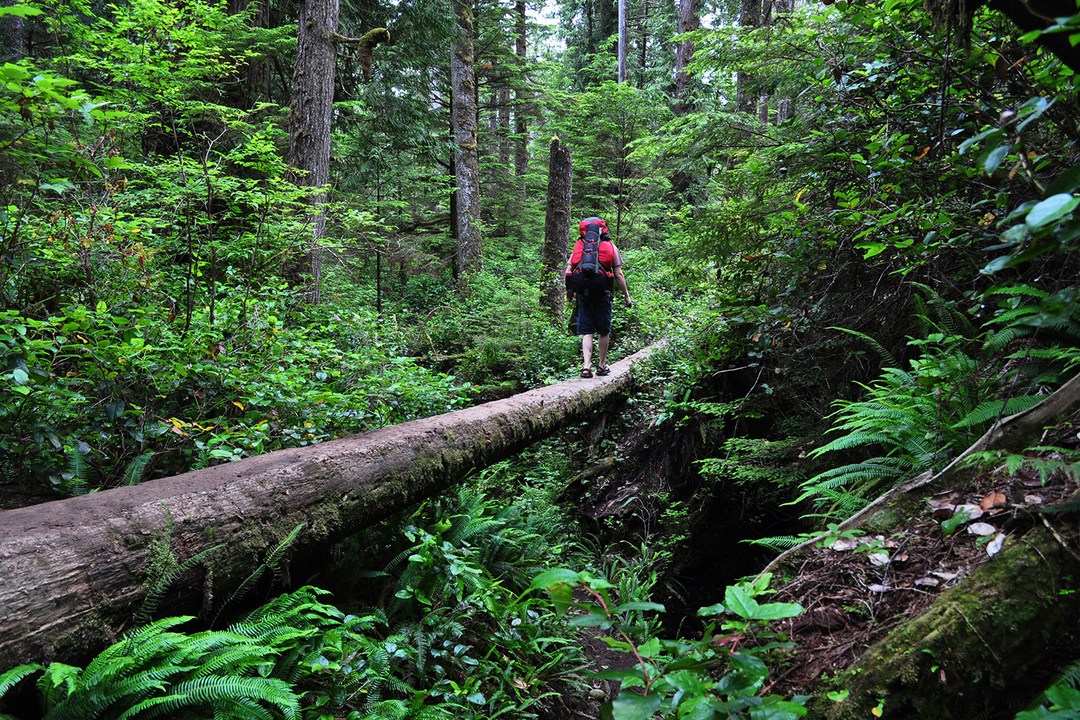 Trekking in Askot
