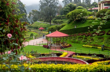 Short Ooty Tour with Bandipur