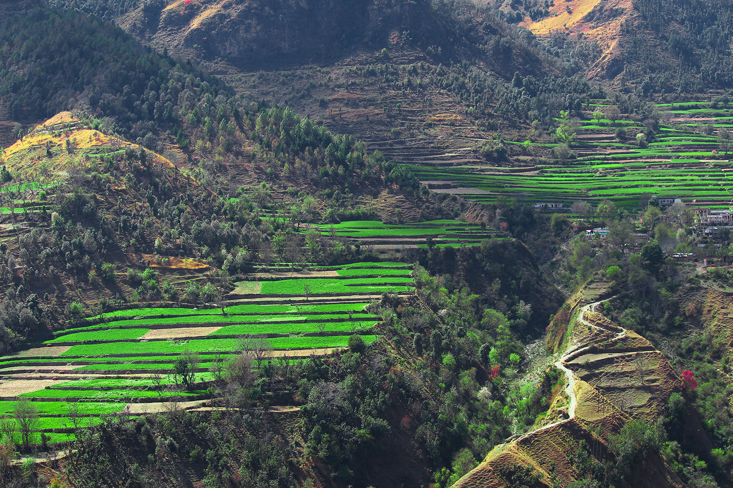 chakrata tour package