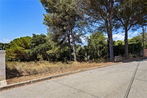 Участок в Сан-Антони-де-Калонже 1242 м2 №PL20817FF022  - Продажа