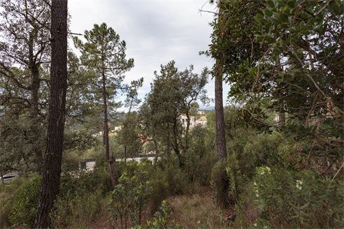 Участок в Ллорет-де-Маре 1443 м2 №PL1712129204  - Продажа