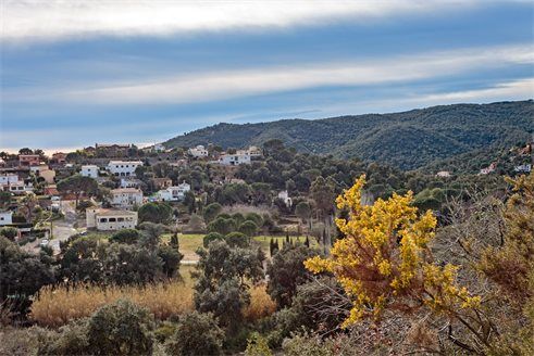 Участок в Калонже 1041 м2 №PL211232C2A8  - Продажа