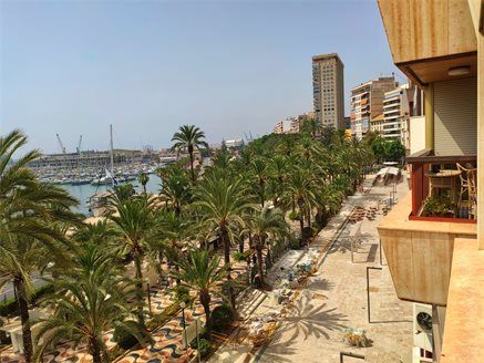 Апартаменты в Аликанте 160 м2 №ART2181790D0F  - Продажа