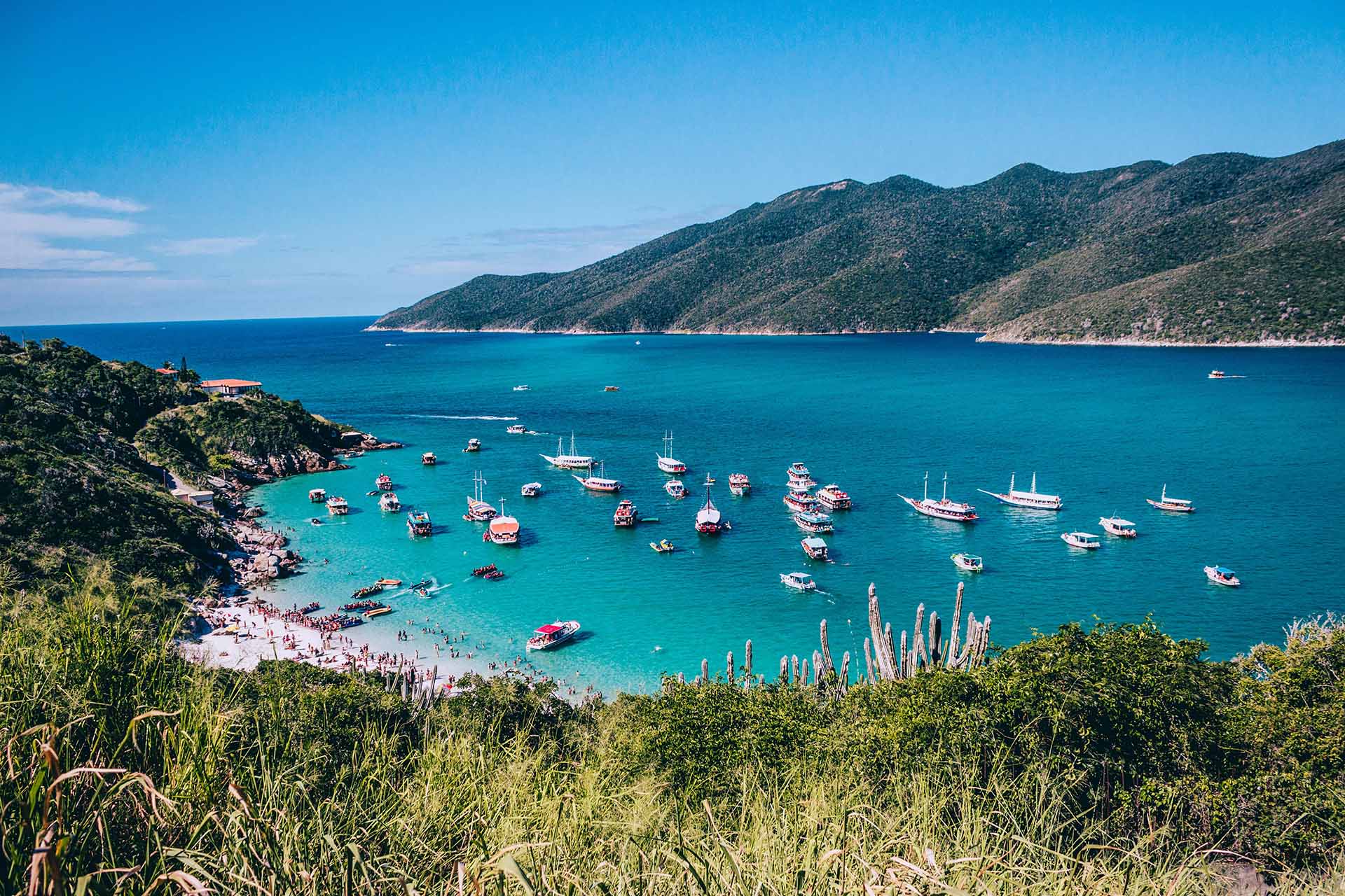 Brazil Bound: Rio and Rainforests