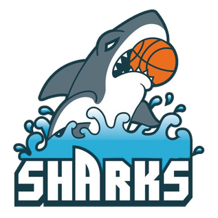 Sharks.png