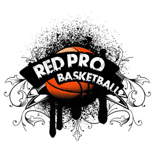 druzyny/logo/84_Red-Pro.jpg
