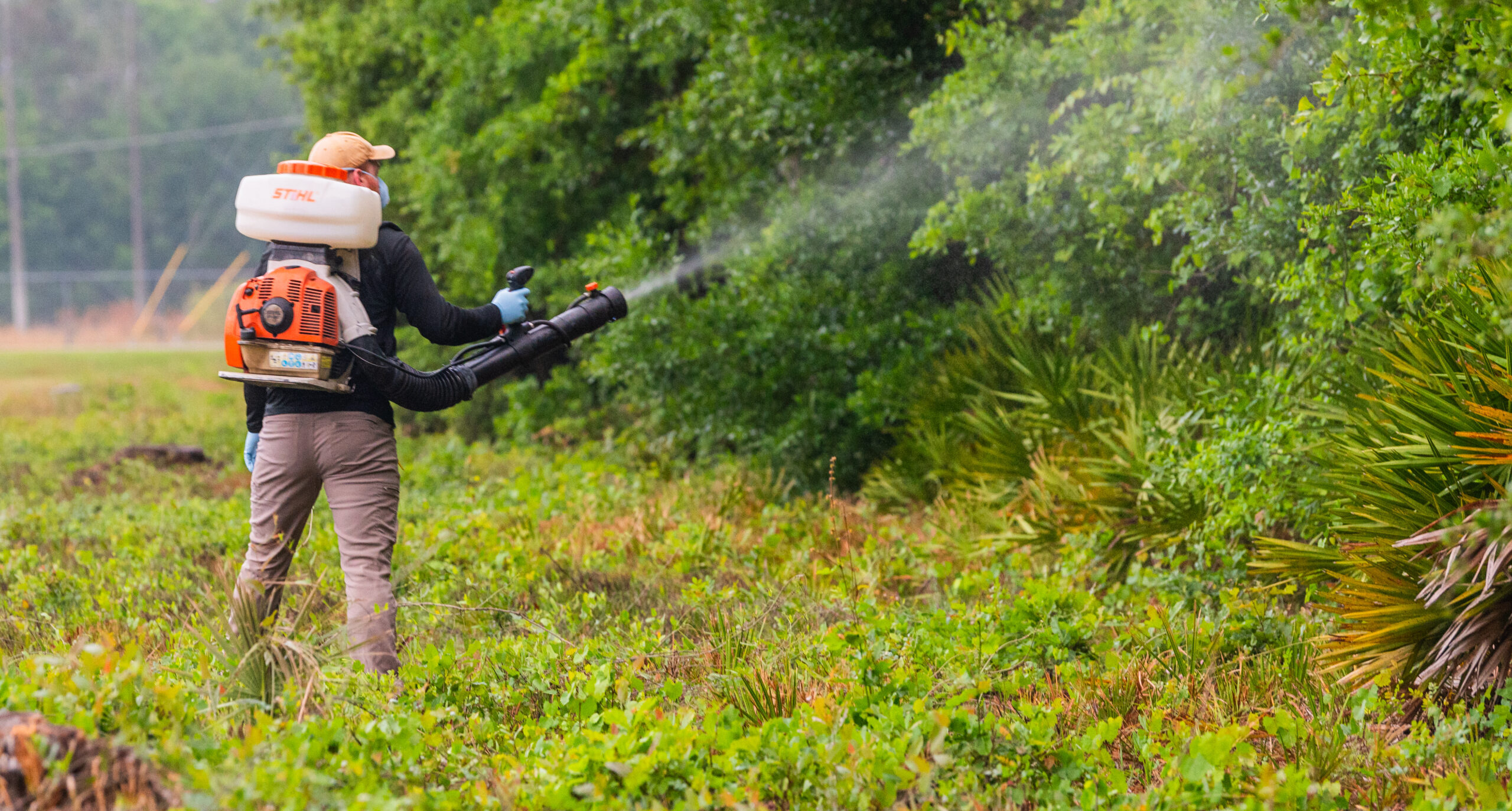 Mosquito Control service in Odessa, TX