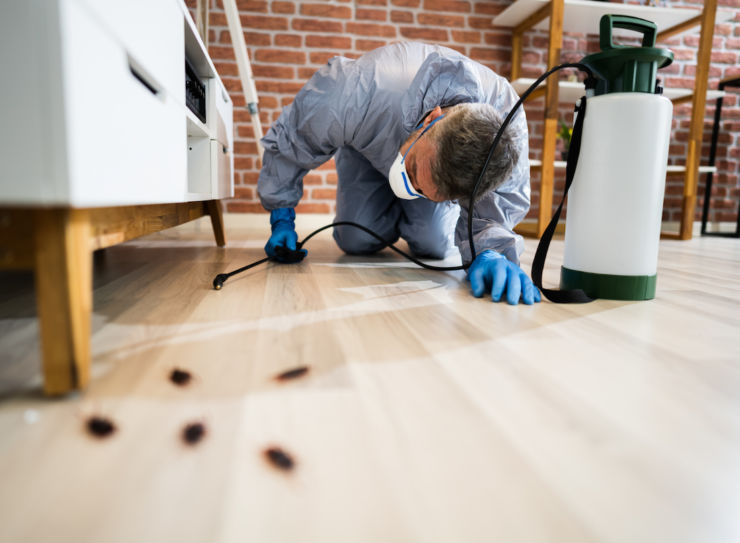 Bed Bug Treatment service in Odessa, TX