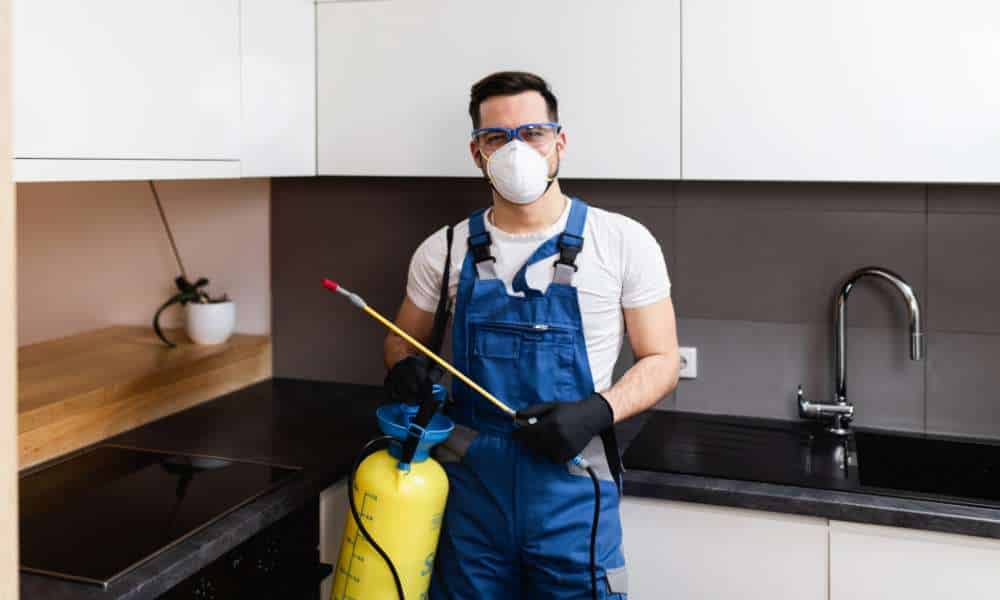 Comprehensive general pest control services in Odessa, TX