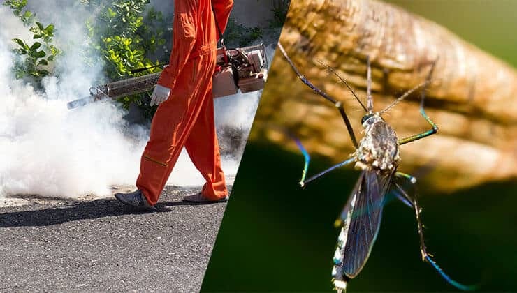 Professional mosquito control services in Arlington, VA