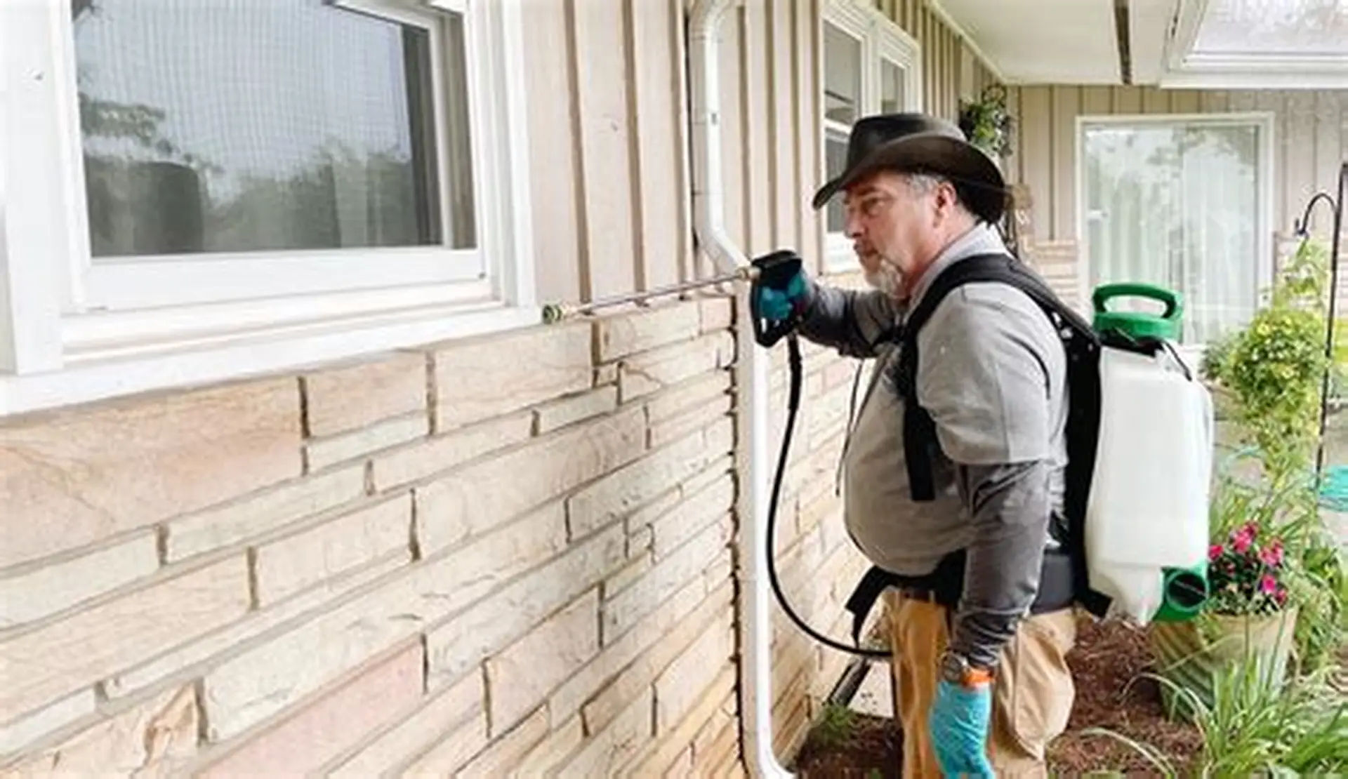 Ant control service in Odessa, TX