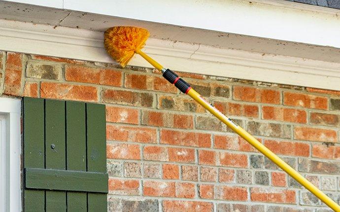 Professional spider control and extermination services in Odessa, TX