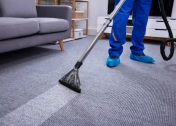 Upholstery Cleaning Service	 in Marshall, IL