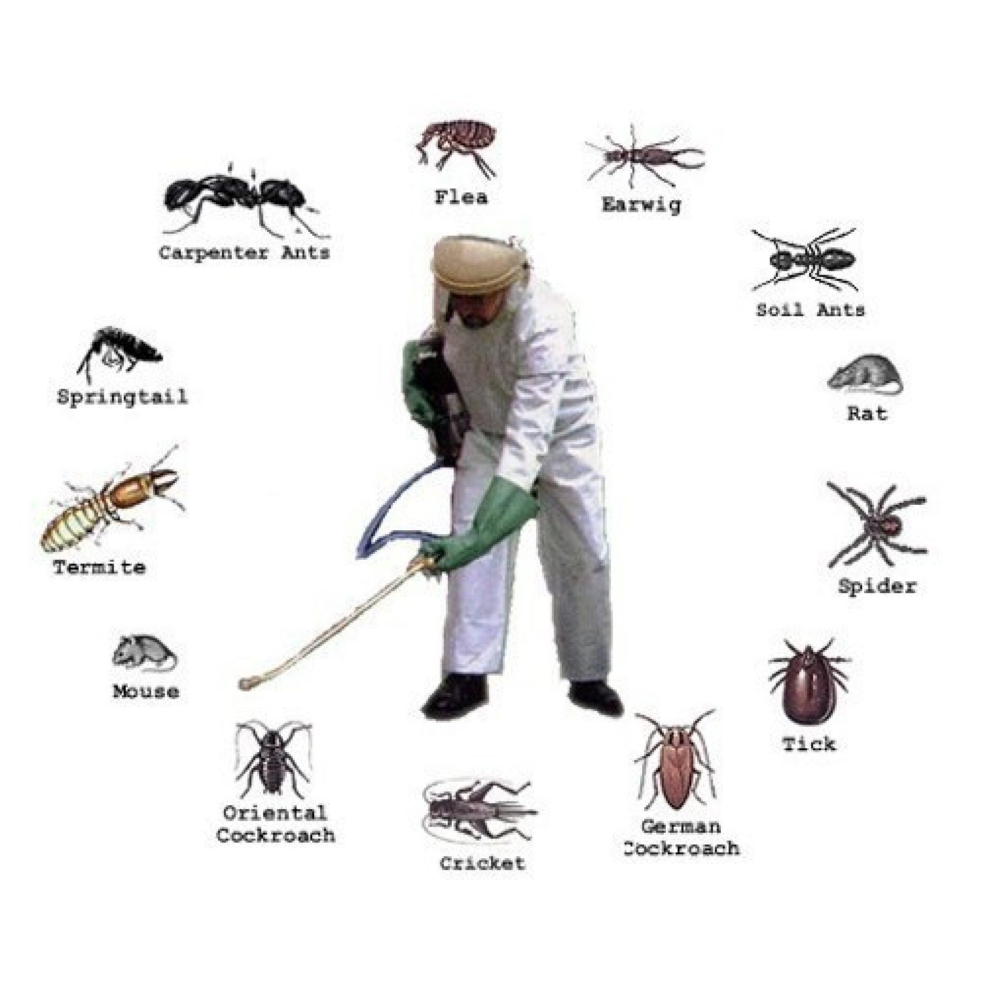 Safe pest control treatment being applied