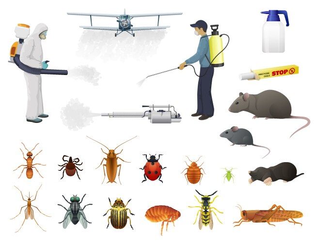 Professional wasp nest removal from home