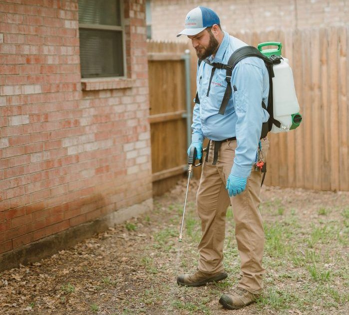 Professional pest control equipment and treatment