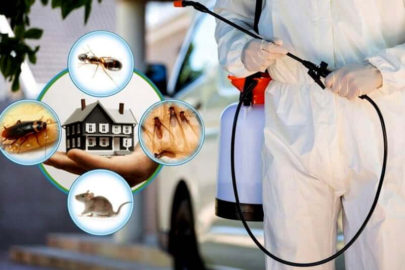 Zephyrhills, FL residential area where we provide pest control services