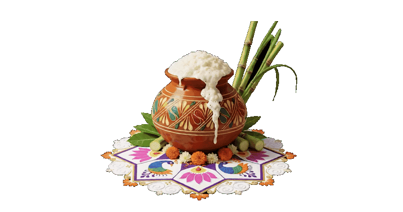 Pongal Pot