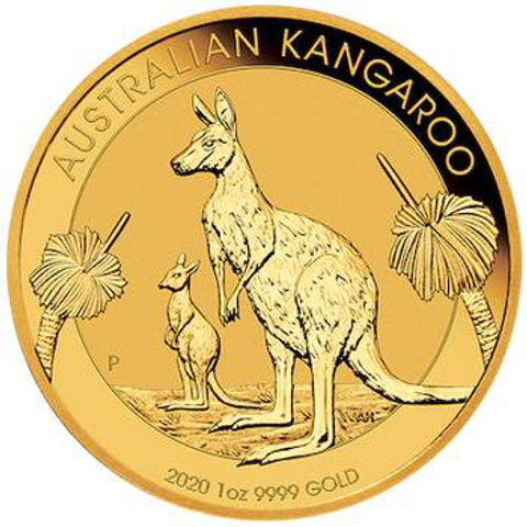 2020-kangaroo-front