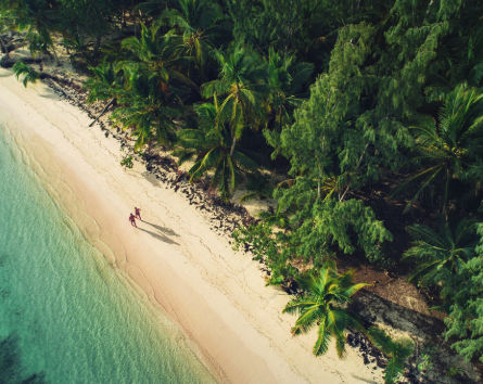 Group Transportation from PUJ to La Romana