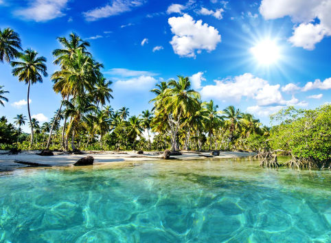 Private Suv Airport Transfer Dominican Republic