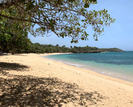 Best Transfer Company Dominican Republic Tripadvisor