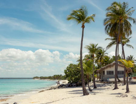 Transportation Options for Tourists in Dominican Republic