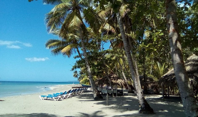 "Playa paradisíaca con palmeras y tumbonas en República Dominicana; llega a este destino con la comodidad de Taxi Dominicana."
