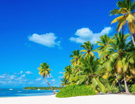 Reliable Shuttle From SDQ to Bavaro
